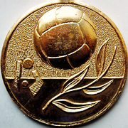 排球錦標賽金牌