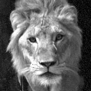 上野動物園