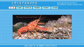 臺灣大型甲殼類資料庫