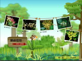 蘭嶼植物展數位展示